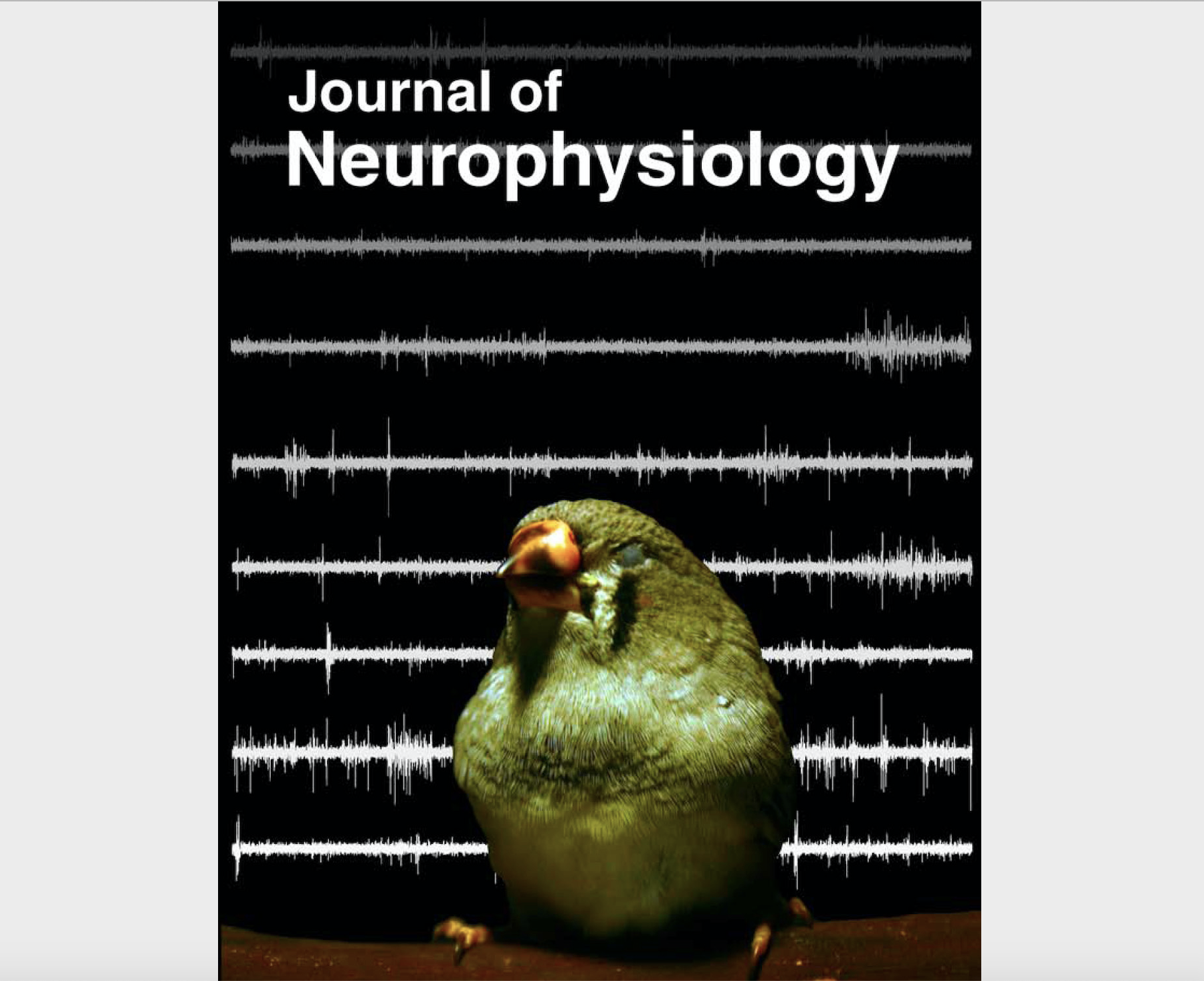 JNeurophysiology Cover Article on Sleep